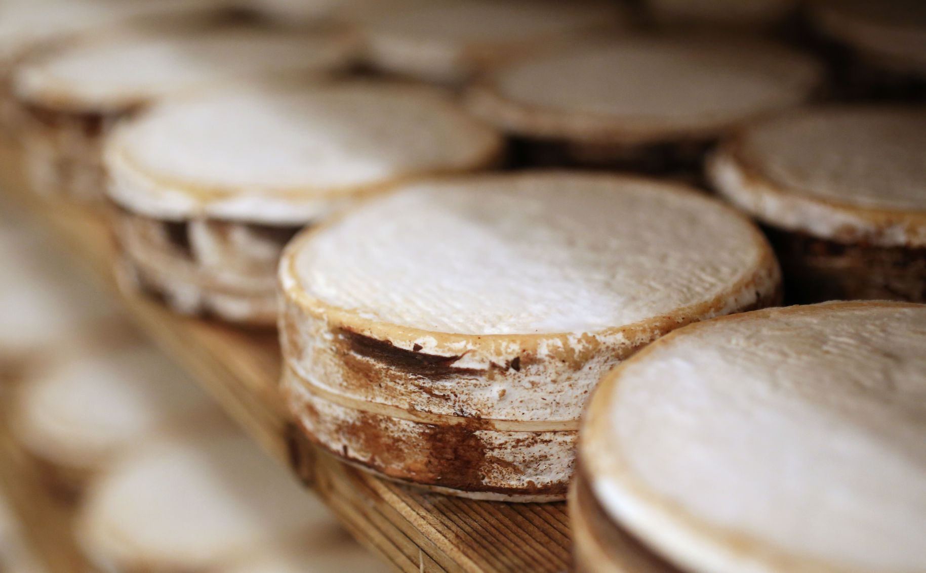 Uplands Cheese Co.